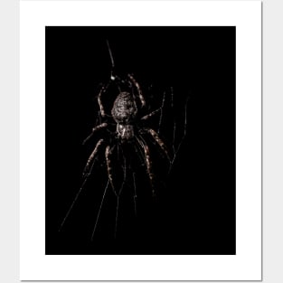 Spider Waterpixels Posters and Art